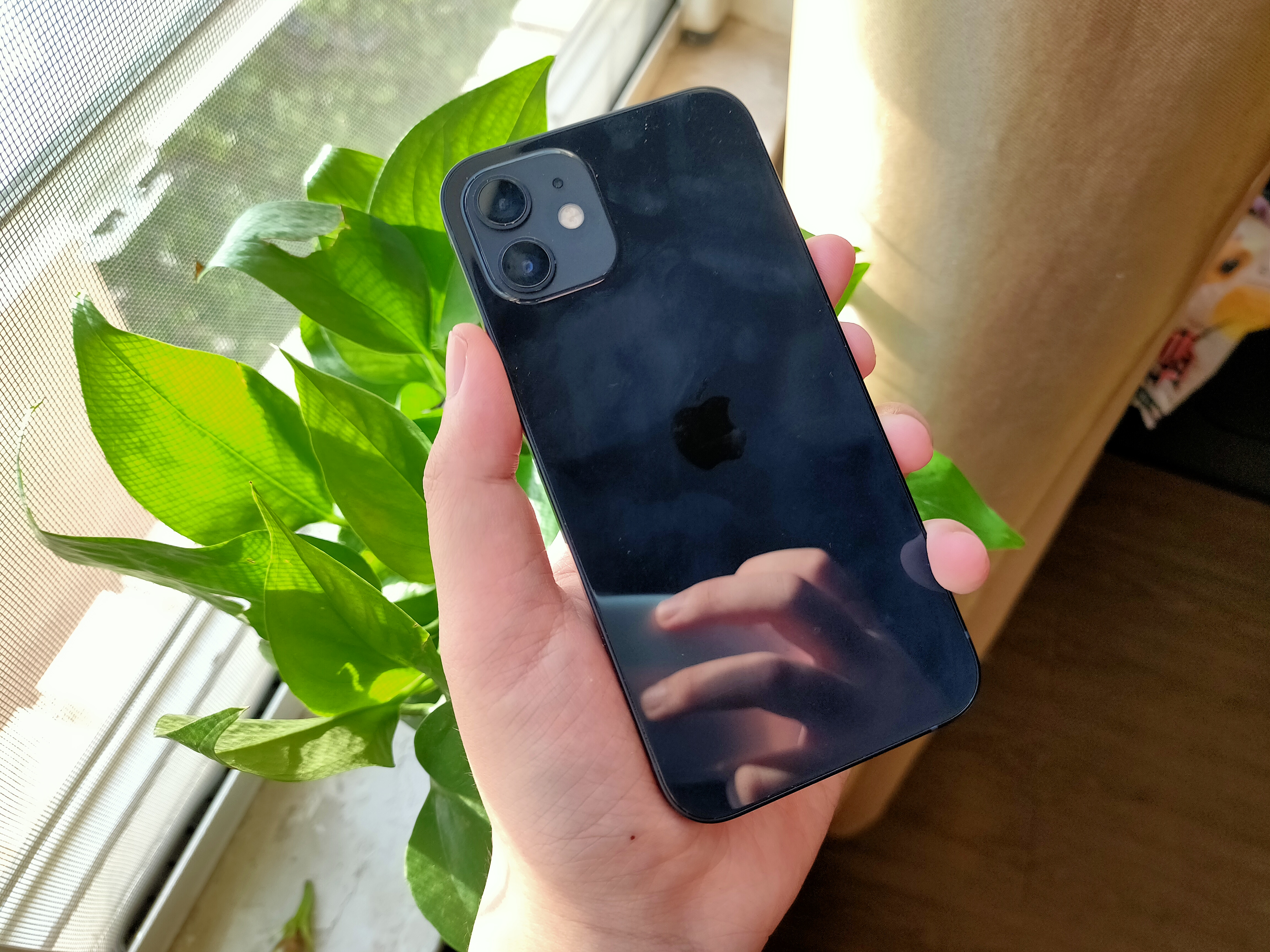 买手机壳多少价位合适,花100块买手机壳