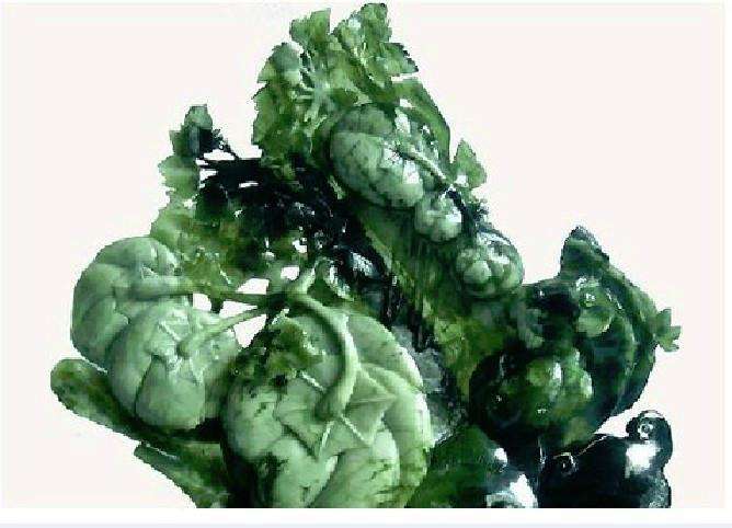 珠宝100种图解,25种晶莹剔透首饰