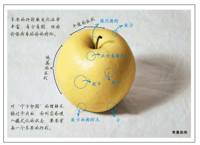 成年人自学武术基本功,女生怎么在家自学武术