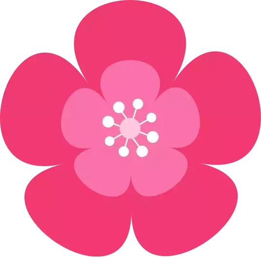 “DoctorFor-A-Day”：小问号携手知名品牌-新加坡“百汇医疗”