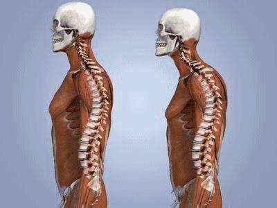 明星的蜜桃臀，竟然都是障眼法？