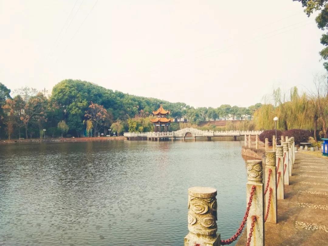 一生必背100首唐诗宋诗,一生必背的50首宋词