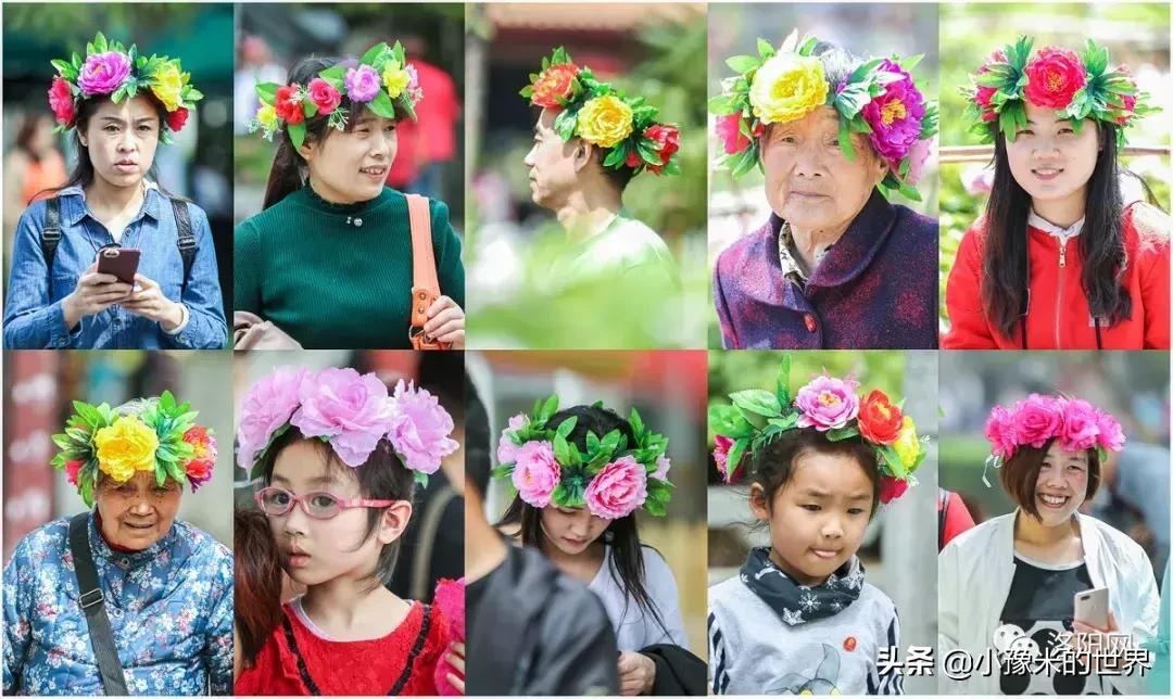 河南洛阳发布最新通知,洛阳牡丹花会向全世界发出邀请