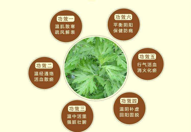 身体寒凉艾灸应该在什么时间,身体寒怕冷艾灸哪个穴位啊