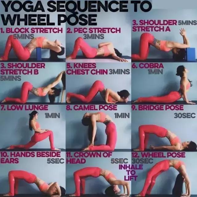 零基础哈他瑜伽体式大全口令讲解,哈他正位瑜伽体式串联90分钟编排