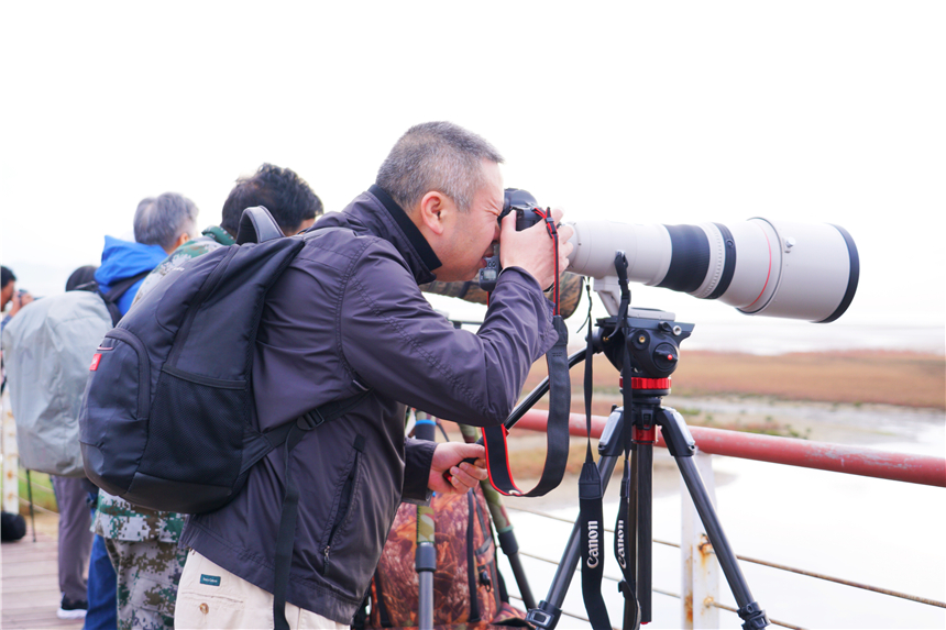 河北最宜居的城市有哪几个,河北最宜居的城市是哪个