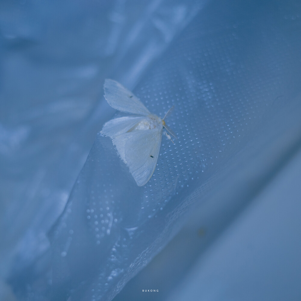 致自己文案高级有深度的句子,适合年会发朋友圈文案句子