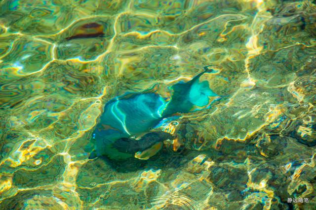 加勒比海邮轮旅行香港,加勒比海游轮旅行视频大全