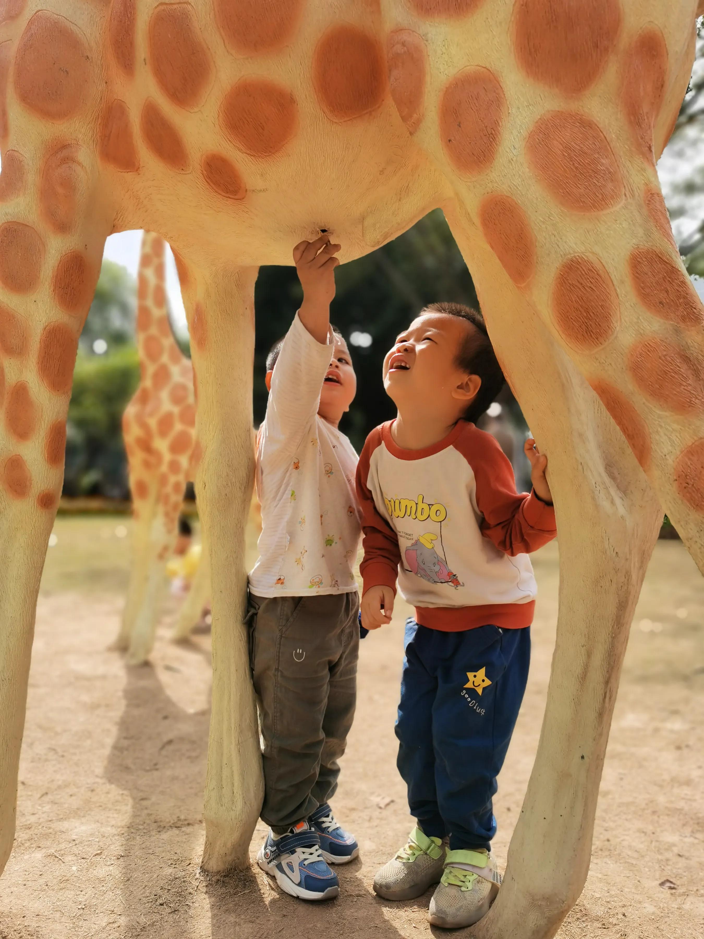 手机摄影手册圈友作品选第5期,手拍世界摄影交流平台