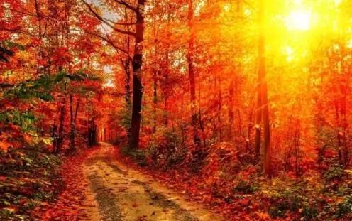 沈阳游玩景点攻略,沈阳游玩景点推荐泡温泉