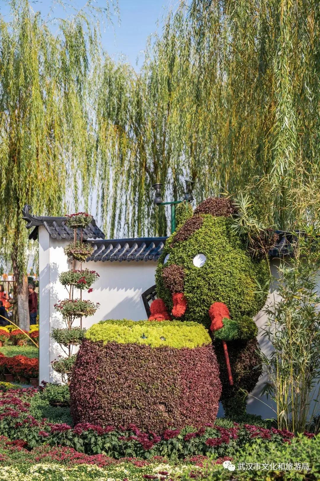 鏉ユ睙婊╄祻鑿婅姳,鑿婅姳鐑傛极