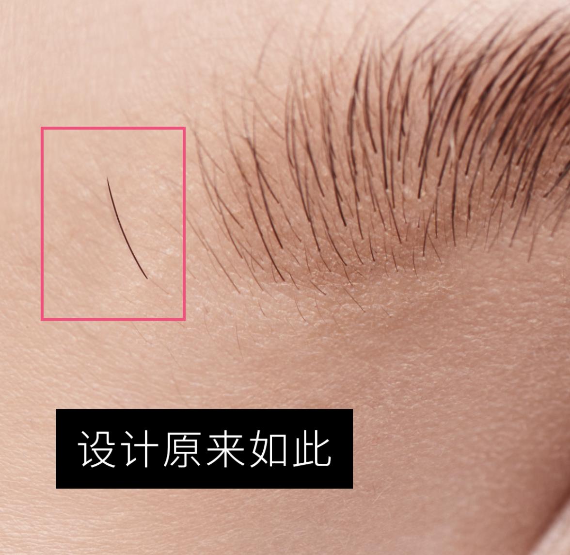 ps眉毛画笔怎么用,ps画笔教程从零开始学