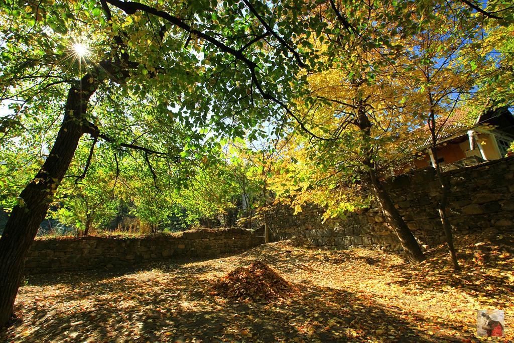 中亚高加索旅游攻略,探秘高加索走进格鲁吉亚
