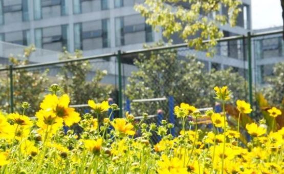 义乌工商职业技术学院创意园,义乌工商职业技术学院难考吗