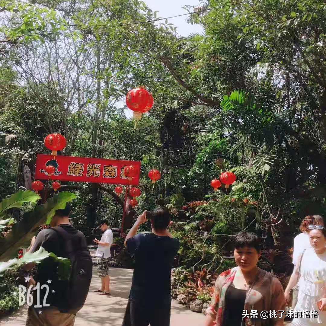 泰国游避雷,过年跟团游泰国很坑吗