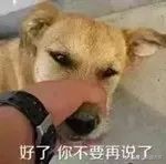 昆山月入1w的副业,昆山2019年最赚钱的项目