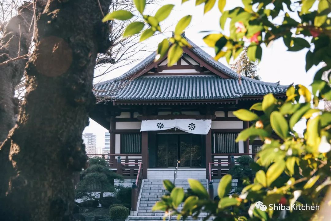 表参道和代官山的距离,表参道代官山店几点开门