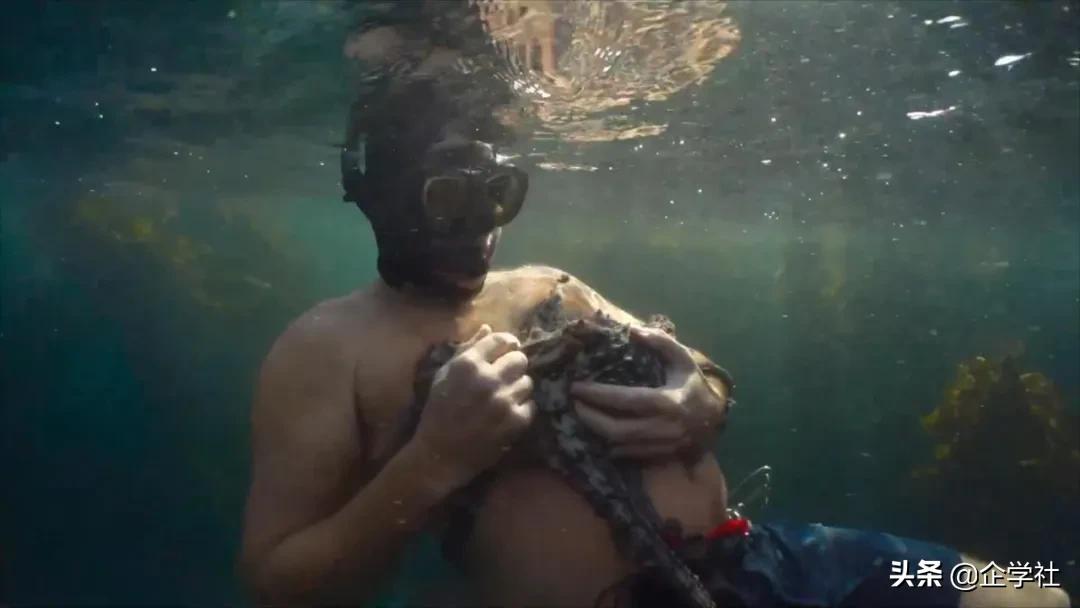 人鱼情未了在线阅读,人鱼情未了电视剧免费观看