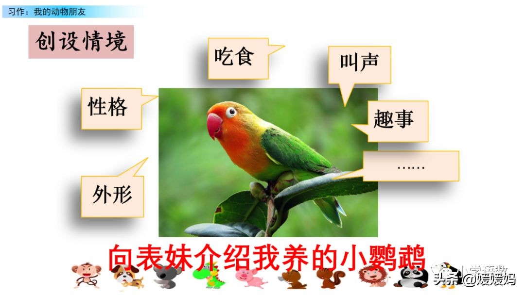 四下四单元我的动物朋友,第四单元我的动物朋友四年级上册