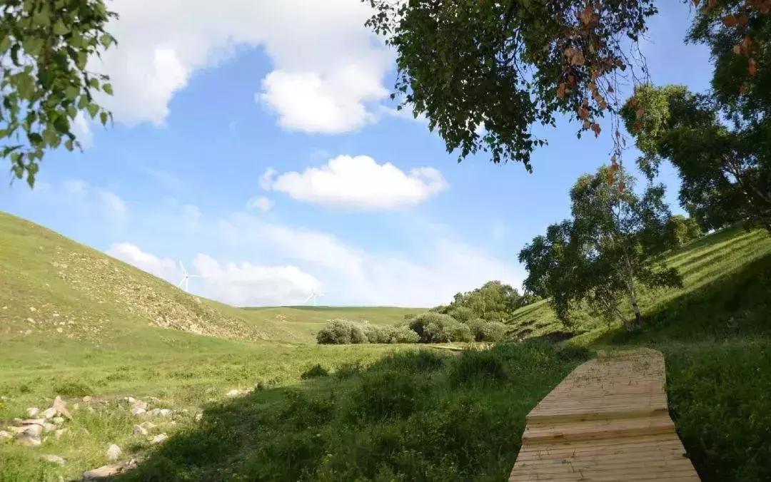 爱旅游的朋友注意了！天津周边藏着的10个草原，不玩一趟太亏