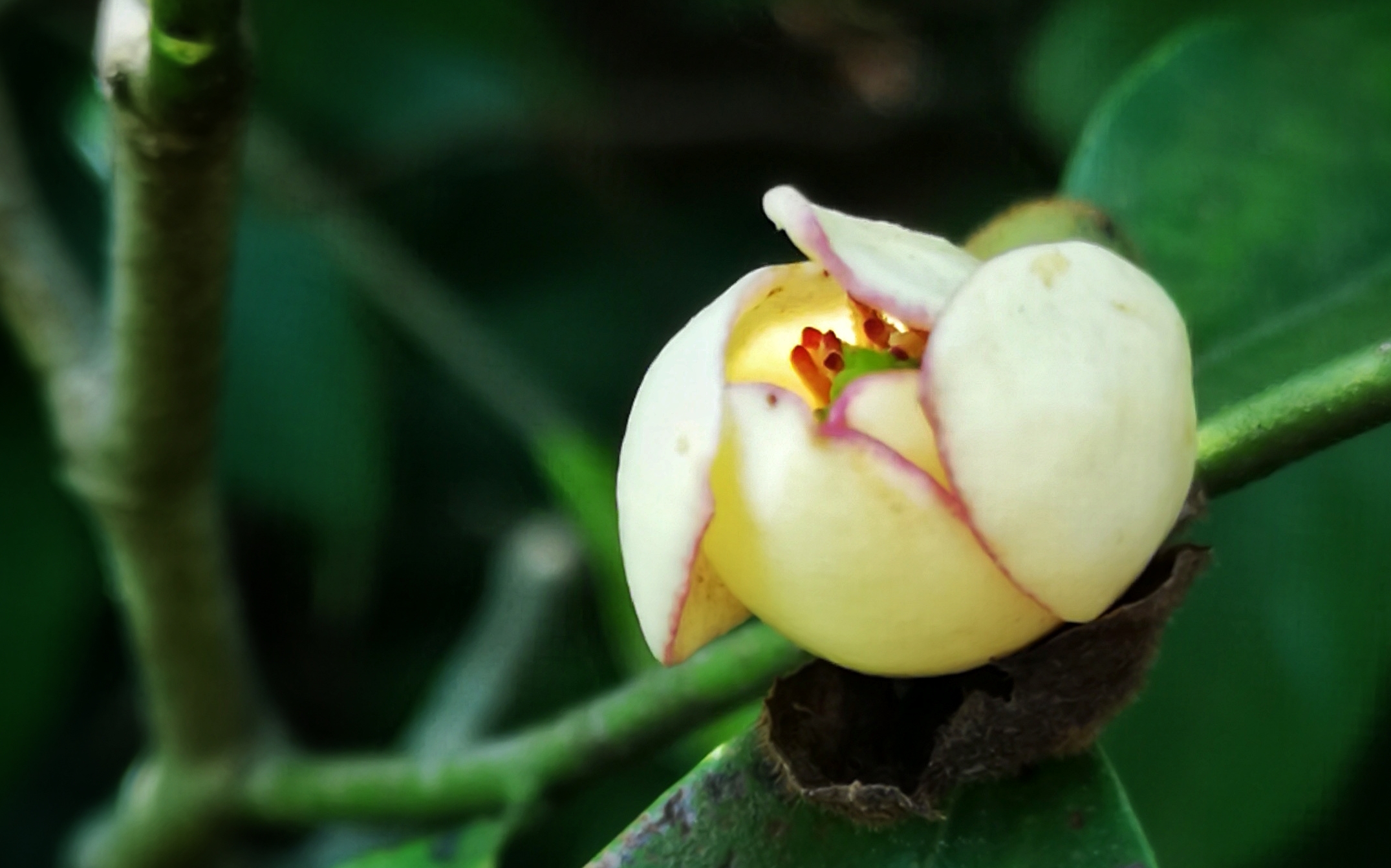 寻找身边的美丽身影,寻找身边美丽景色