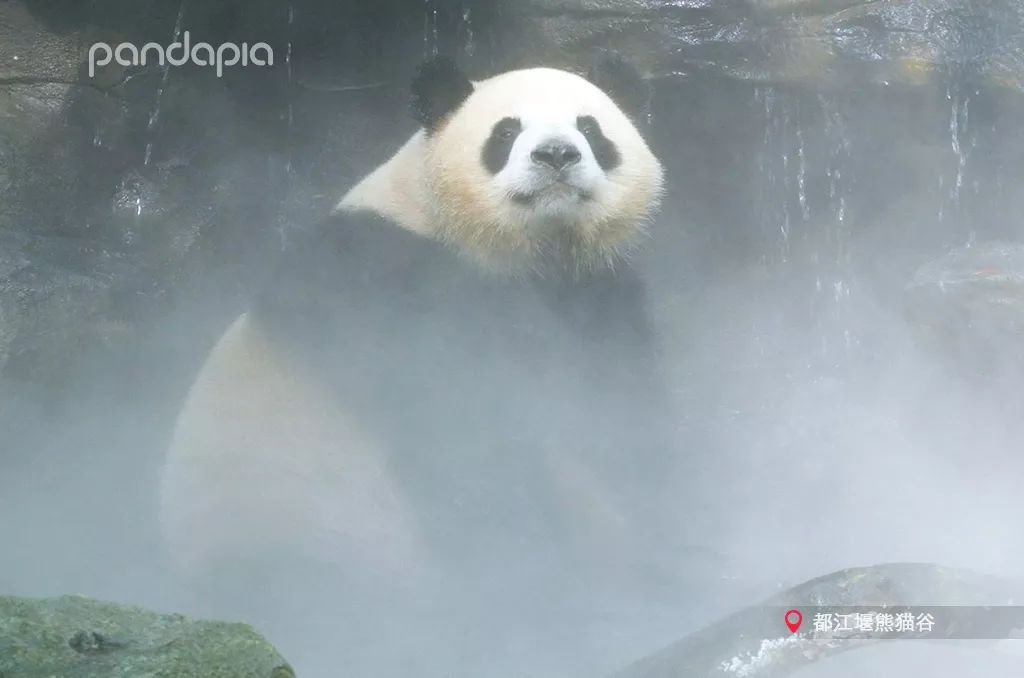 鍥藉疂缇庣櫧,鍥藉疂鐢ㄧ殑缇庣櫧闈㈣啘