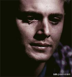 牛羊|光吃不长、夏季流产死胎增加?别怕!牛羊肝肾康来帮你