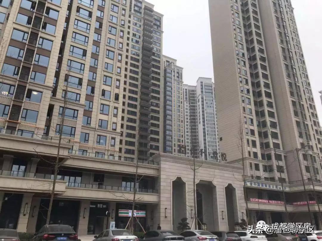 石笋街和茶店子小学怎么选,茶店子小学vs石笋街小学选哪个