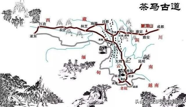 浅谈普洱茶与茶马古道的联系,茶马古道见证了普洱茶的历史