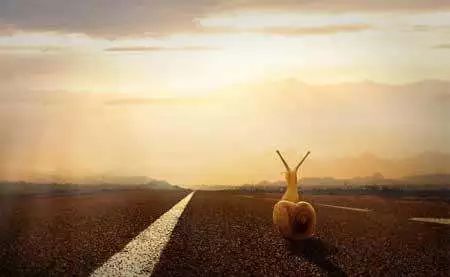 为什么我劝你一定要参加cpa考试,为什么不建议你考cpa