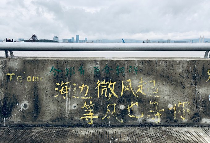 有始有终方能圆满2018年的告别行走