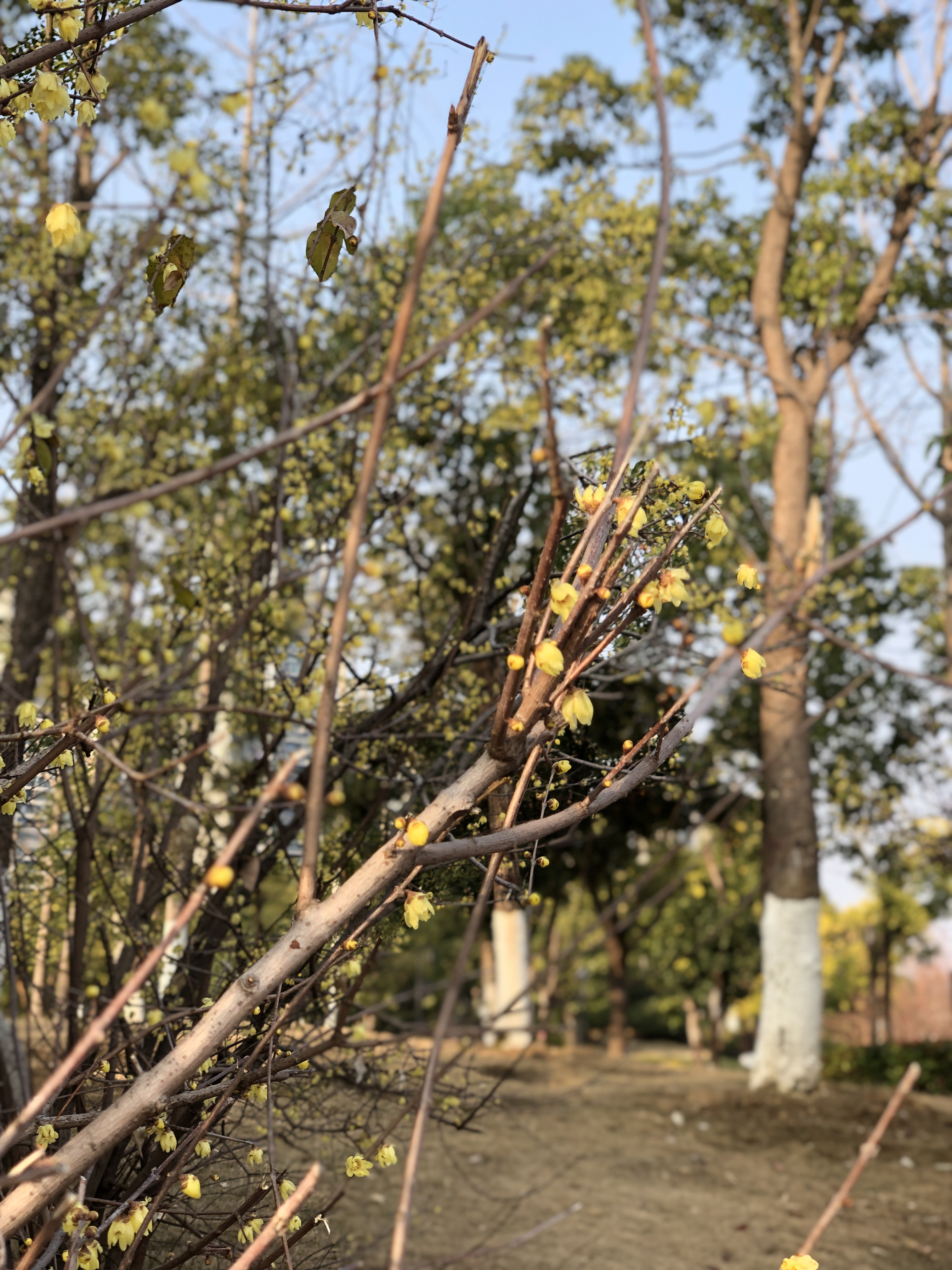 疫情当下奋斗的人,一场突如其来的疫情席卷了一座城