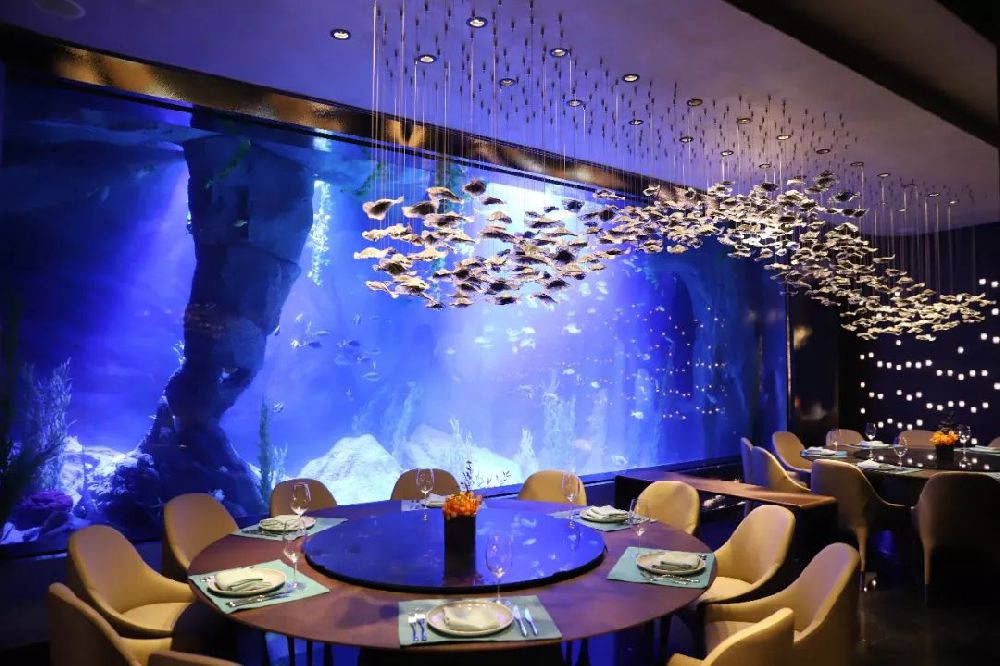 上海深坑酒店地下的样子,上海深坑酒店内部视频