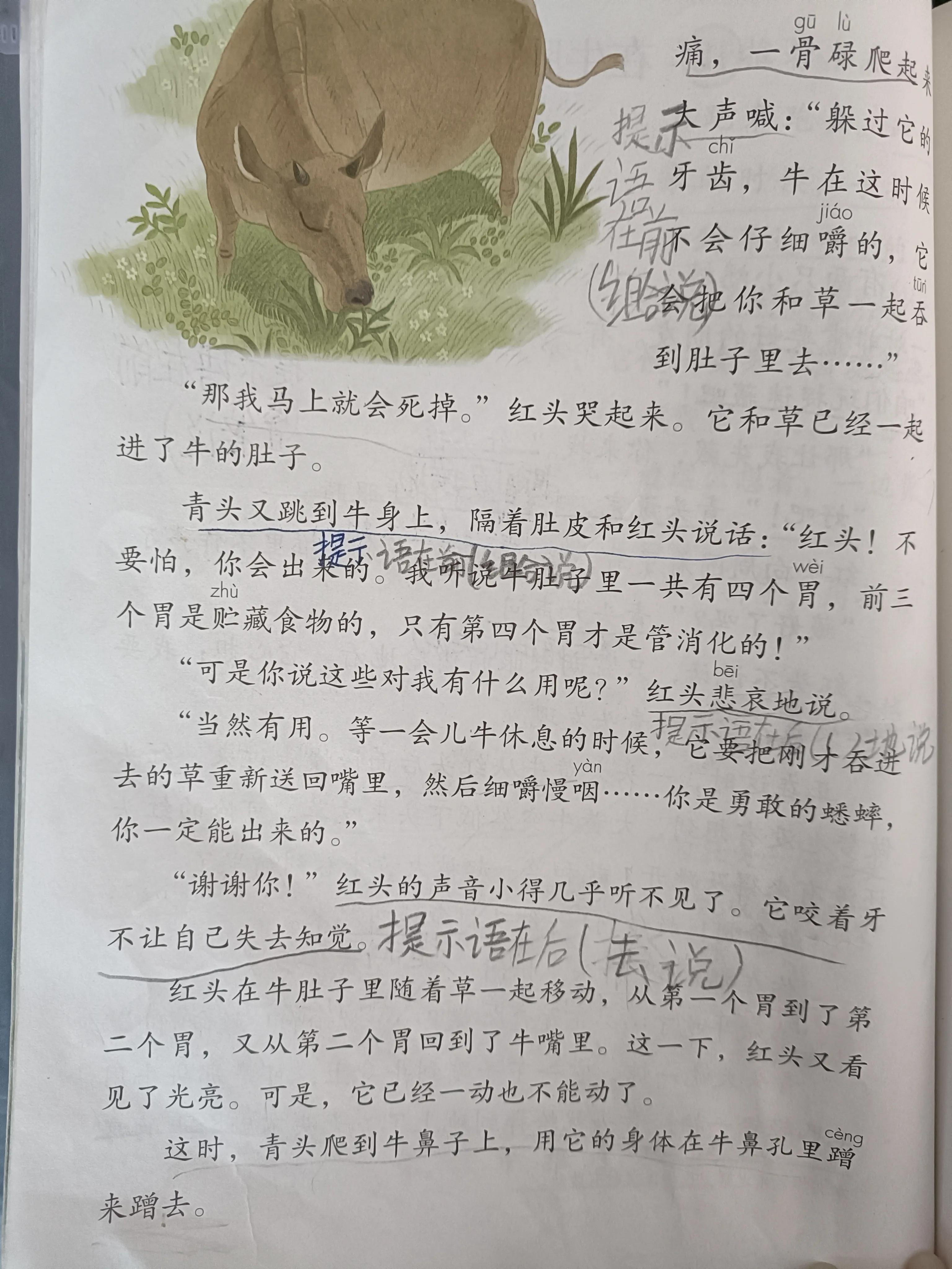 在牛肚子里旅行的提示语有哪些,提示语在中有什么作用