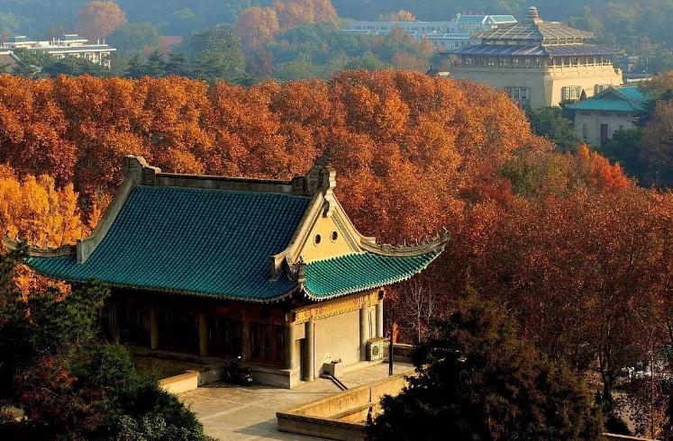 武汉大学2019年毕业生就业质量,武汉大学法学就业质量报告