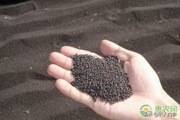 内蒙古葵花籽价格最新行情,菜籽油花生油葵花籽油多少钱一斤