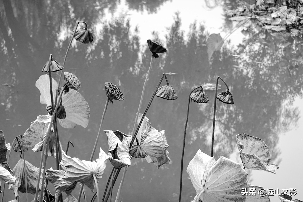 索尼黑卡二怎么拍,索尼黑卡2大光圈拍视频