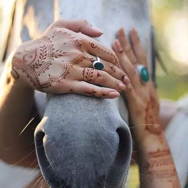 简单海娜手绘 (巴基斯坦海娜手绘彼岸花图文)