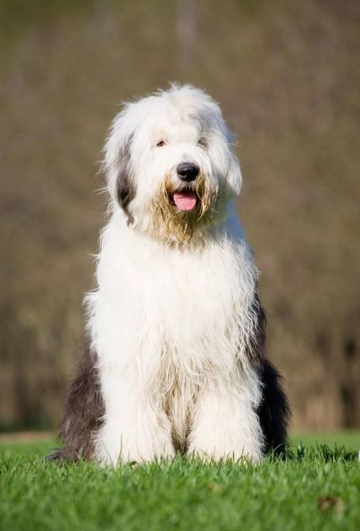 letsgo带你去兜风,letsgo旅行视频