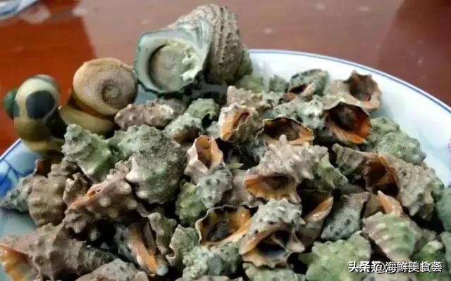 好吃又便宜的奇特海鲜,有一种很古怪的海鲜