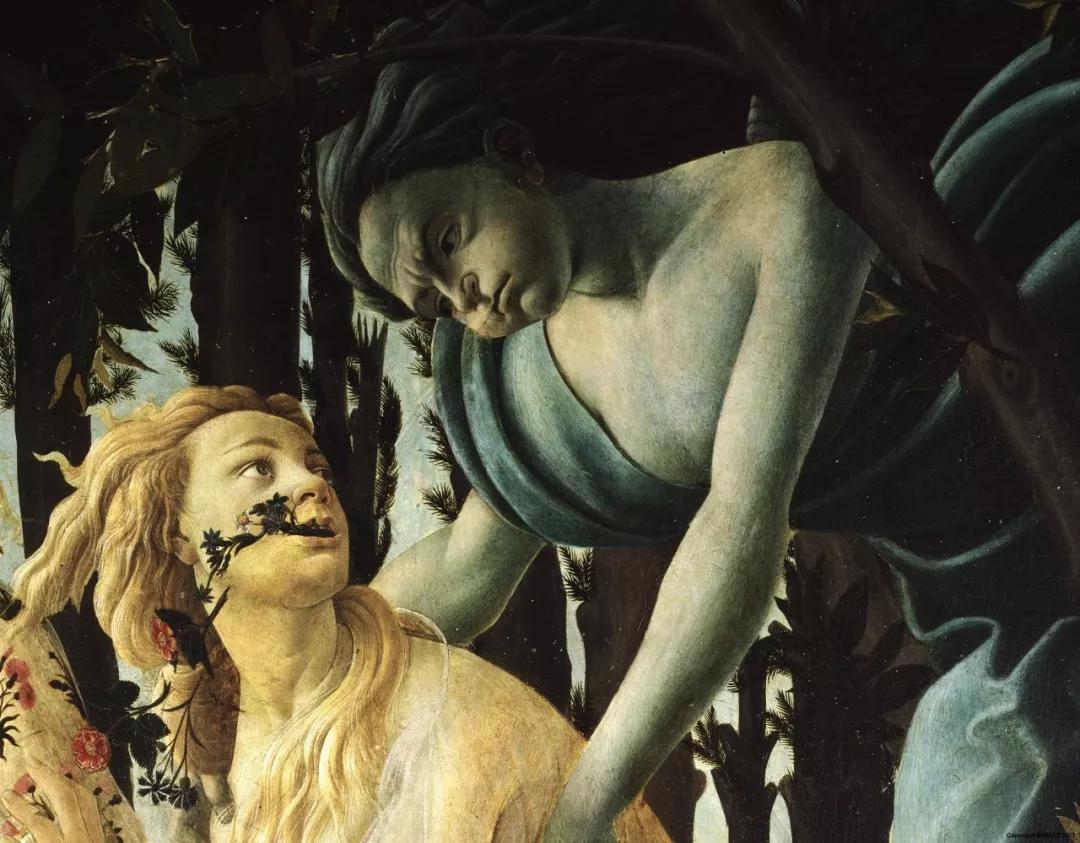 真美女,捐出千亿家产,成就世界顶级博物馆,稀世珍宝对全球开放