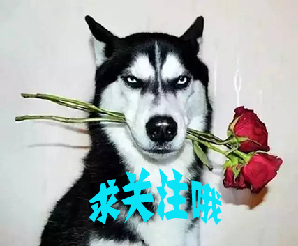 足球球星搞笑外号,讽刺本泽马的外号