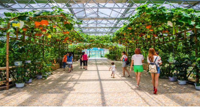 遵义最美乡村旅游图,遵义周边乡村旅游的地方