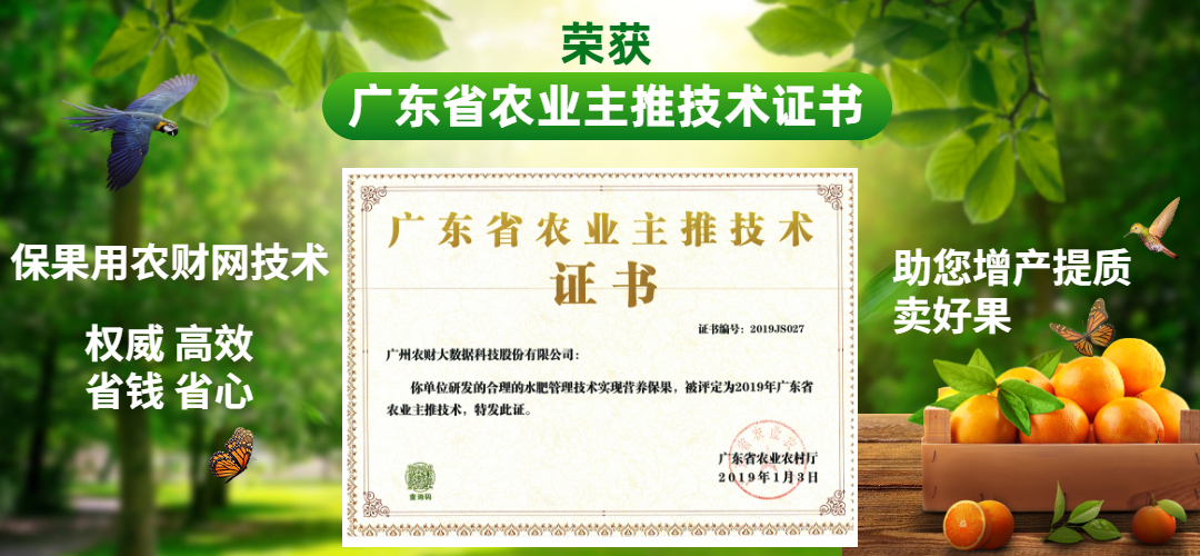 治蚧壳虫的土方法,用药指南蚧壳虫