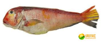 舟山海鲜攻略2天1晚住宿自由行,舟山最好的海鲜