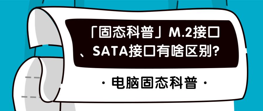 m.2固态接口sata和pcie如何区分,西数sata协议m.2接口固态