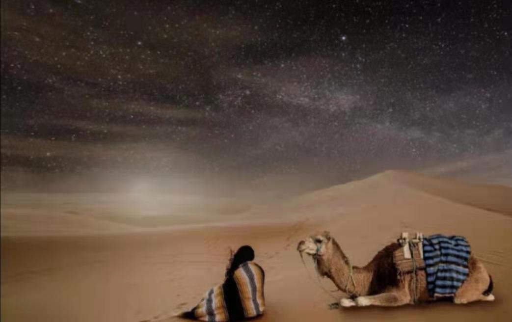 三毛撒哈拉的故事经典语录,三毛在撒哈拉沙漠时期作品