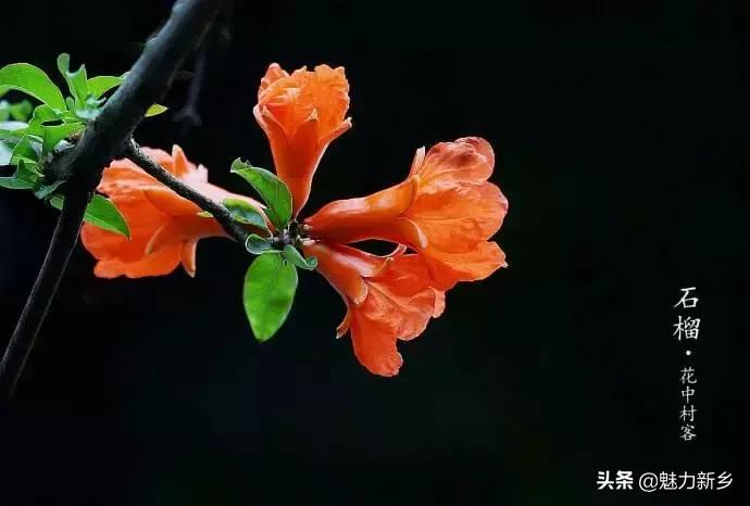 新乡故事完整版,新乡故事