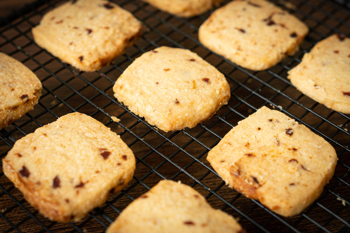 烤箱入门烤什么,新手烤箱买哪一款实用