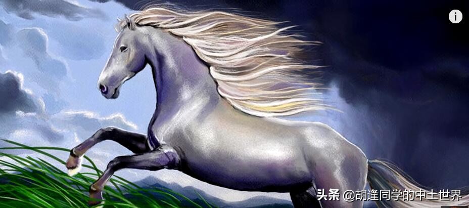 捷影有何特殊之处？米亚拉斯是一种怎样的神奇马匹？（一）